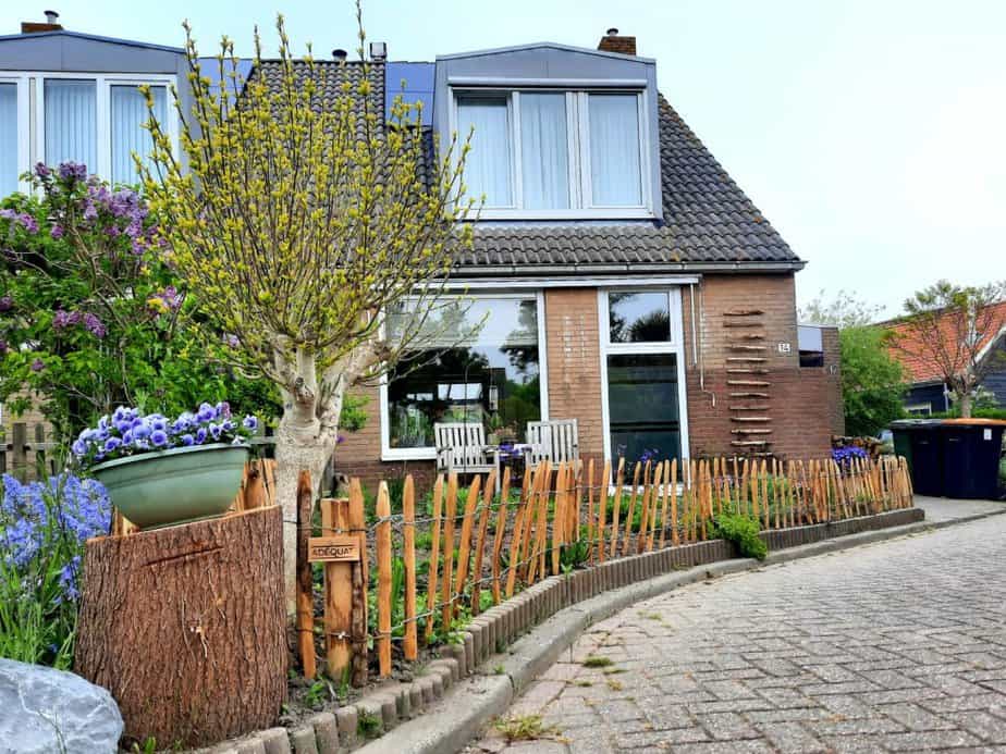 Clôture ganivielle française en bois de châtaignier de 50 cm de hauteur et avec un espacement de 10 cm entre les lattes.