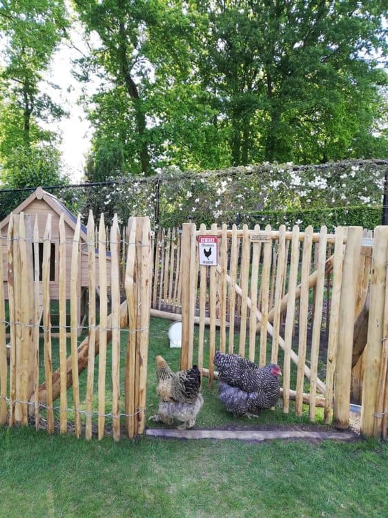 Fabrication d'un poulailler à partir d'une clôture ganivelle de 120 cm de haut avec un espacement des lattes de 4 cm