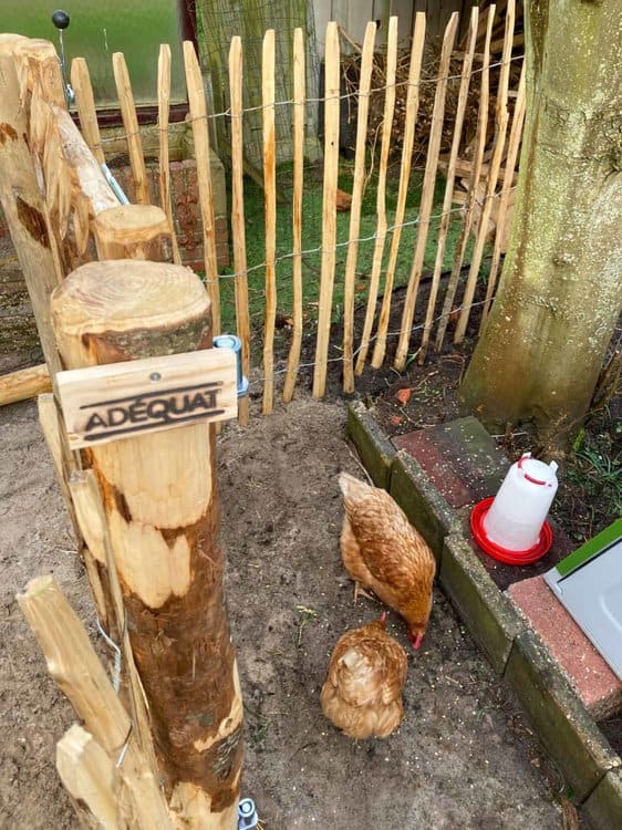 Fabrication d'un poulailler à partir d'une clôture ganivelle de 120 cm de haut avec un espacement des lattes de 6 cm