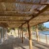 Pergola terrasse avec poteaux en robinier
