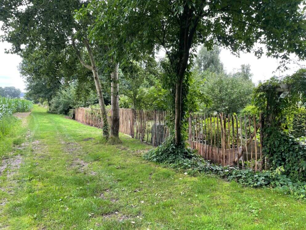 Clôture ganivelle en bois de châtaignier 150 cm Adequat