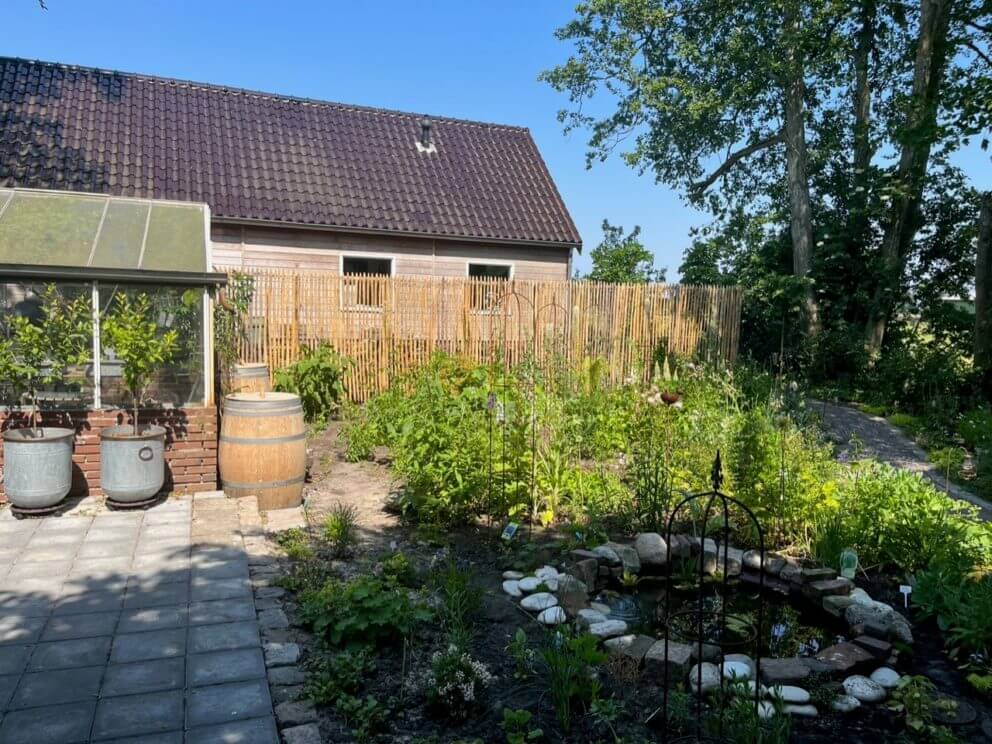 Clôture ganivelle 200 cm Adequat