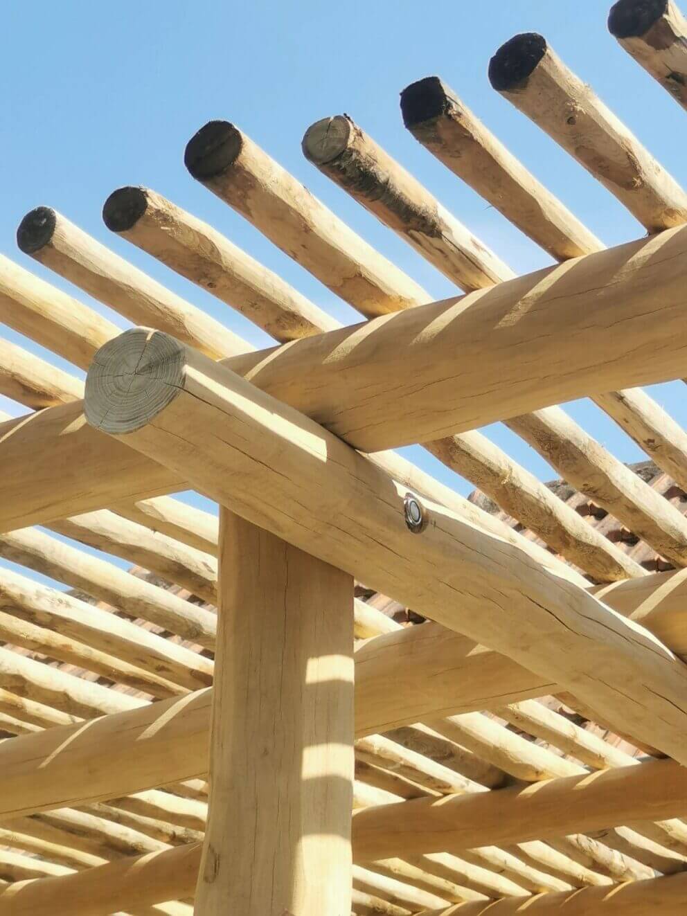 pergolas en robinier poncer avec toit en rondin de châtaignier diam 4/6