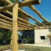 Pergola Robinier écorcés et poncés 600 cm diam. 10/12, 13/15 et 16/18 cm