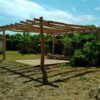 Pergola Robinier écorcés et poncés 600 cm diam. 10/12, 13/15 et 16/18 cm
