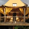 Pergola Robinier Écorcé poncé