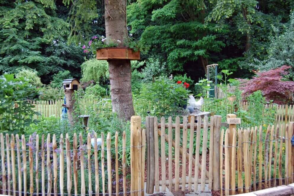 Clôture ganivielle française en bois de châtaignier de 80 cm de hauteur et avec un espacement de 4 cm. entre les lattes.