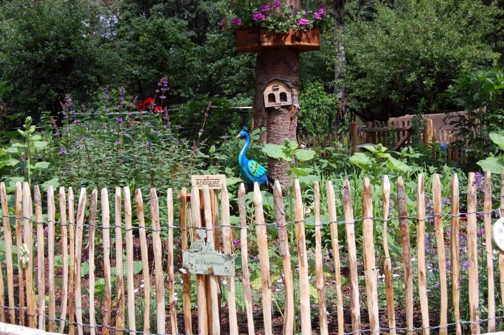 Clôture ganivielle française en bois de châtaignier de 80 cm de hauteur et avec un espacement de 4 cm. entre les lattes.