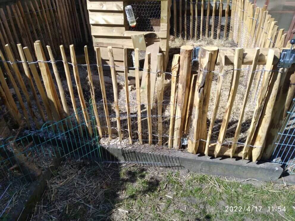 Clôture ganivielle française en bois de châtaignier de 80 cm de hauteur et avec un espacement de 4 cm. entre les lattes.