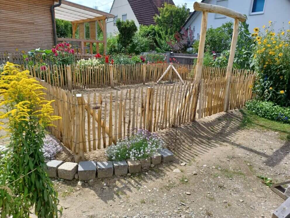 Clôture ganivielle française en bois de châtaignier de 80 cm de hauteur et avec un espacement de 4 cm. entre les lattes.