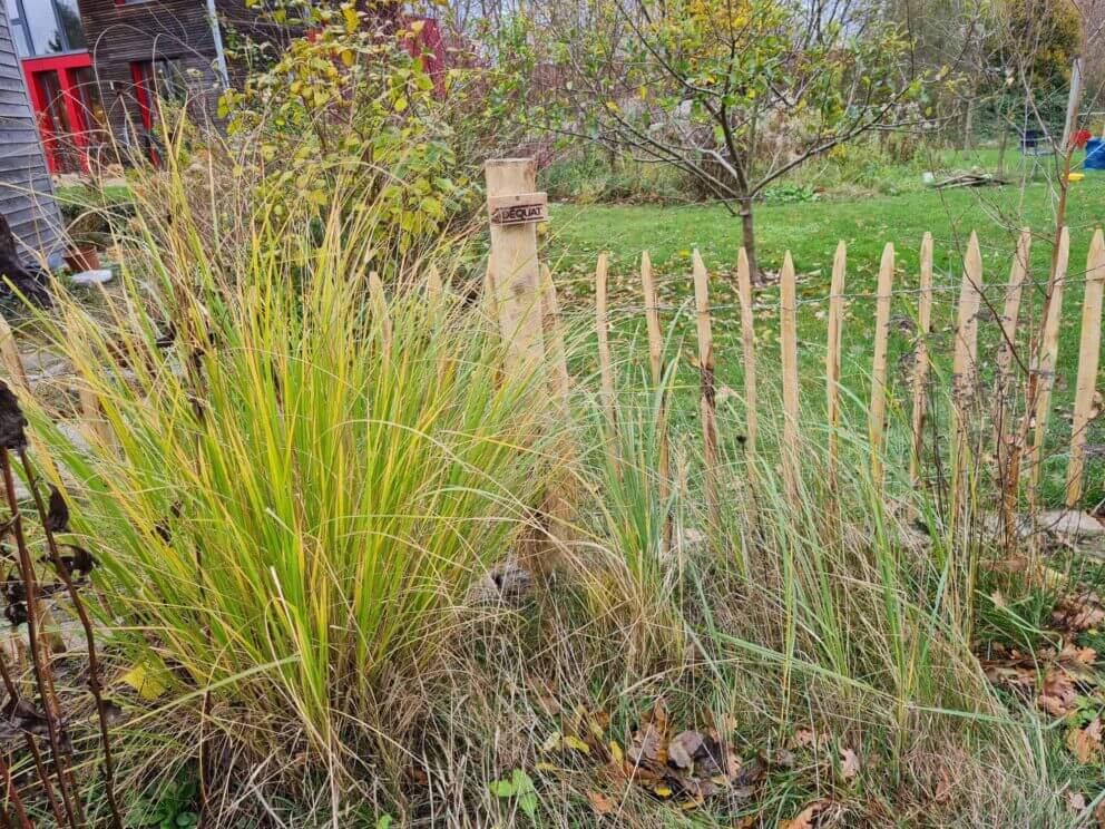 Clôture ganivielle française en bois de châtaignier de 80 cm de hauteur et avec un espacement de 8 cm. entre les lattes.