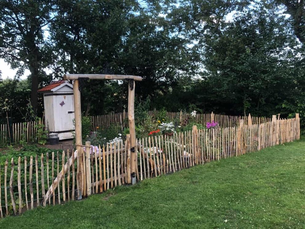 Clôture ganivielle française en bois de châtaignier de 80 cm de hauteur et avec un espacement de 6 cm. entre les lattes.