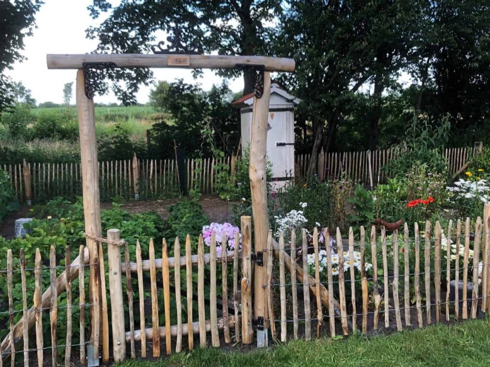 Clôture ganivielle française en bois de châtaignier de 80 cm de hauteur et avec un espacement de 6 cm. entre les lattes.