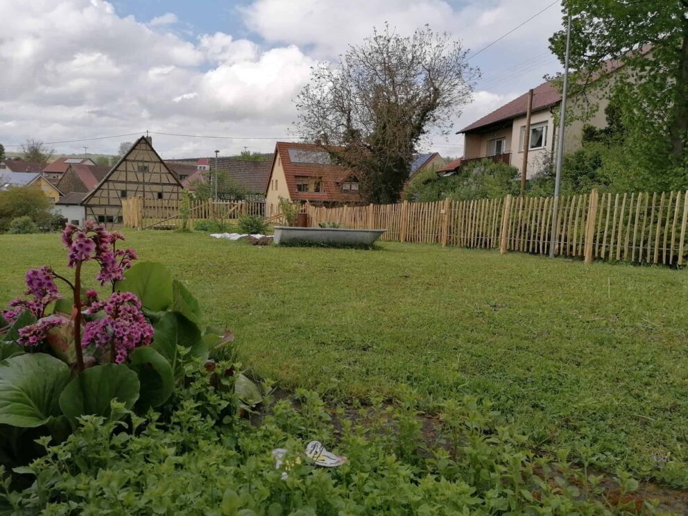 Clôture ganivielle française en bois de châtaignier de 80 cm de hauteur et avec un espacement de 6 cm. entre les lattes.