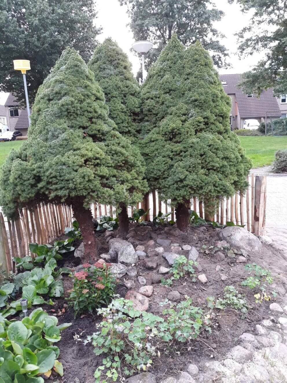 Clôture ganivielle française en bois de châtaignier de 80 cm de hauteur et avec un espacement de 4 cm. entre les lattes.