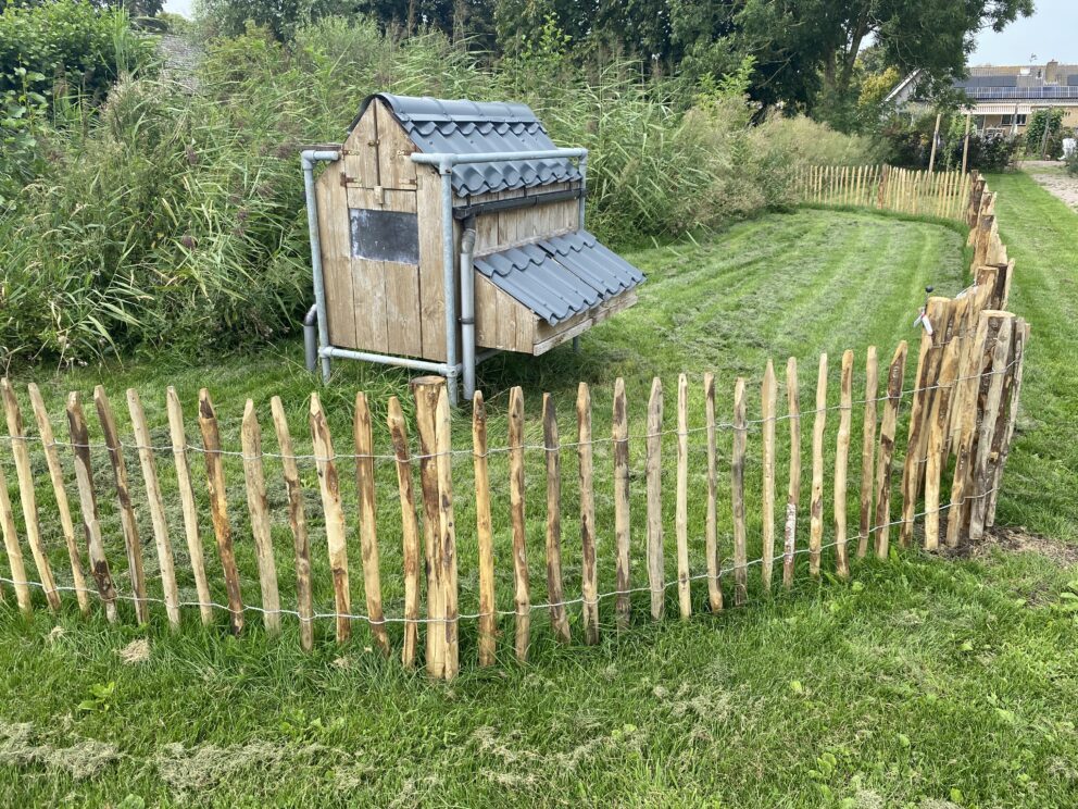 Clôture ganivielle française en bois de châtaignier de 80 cm de hauteur et avec un espacement de 4 cm. entre les lattes.