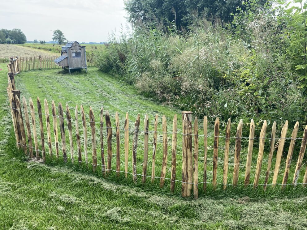 Clôture ganivielle française en bois de châtaignier de 80 cm de hauteur et avec un espacement de 4 cm. entre les lattes.