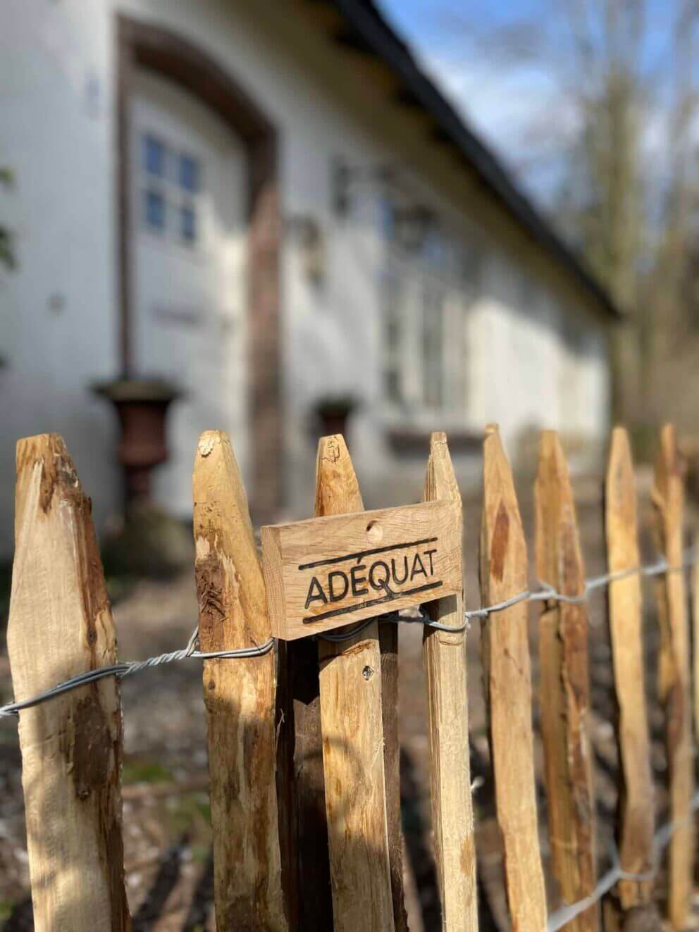 Clôture ganivielle française en bois de châtaignier de 50 cm de hauteur et avec un espacement de 4 cm entre les lattes.