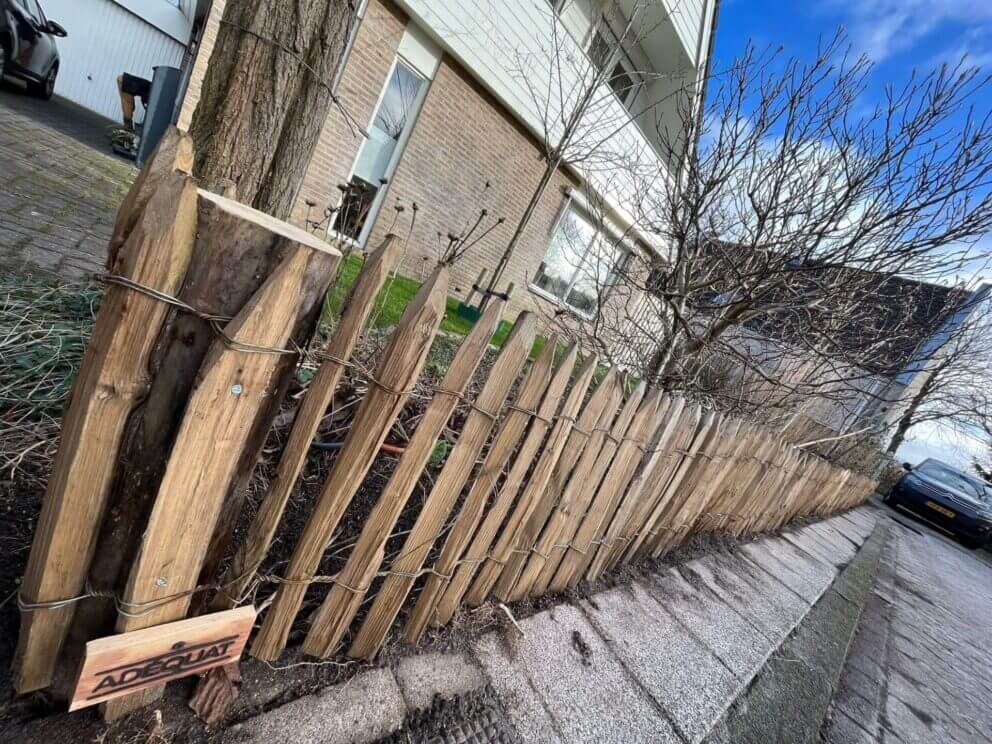 Clôture ganivielle française en bois de châtaignier de 50 cm de hauteur et avec un espacement de 2 cm entre les lattes.