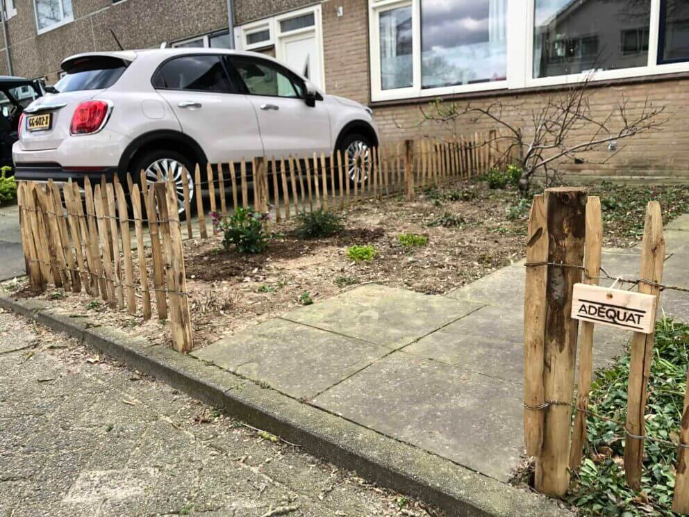 Clôture ganivielle française en bois de châtaignier de 50 cm de hauteur et avec un espacement de 6 cm entre les lattes.