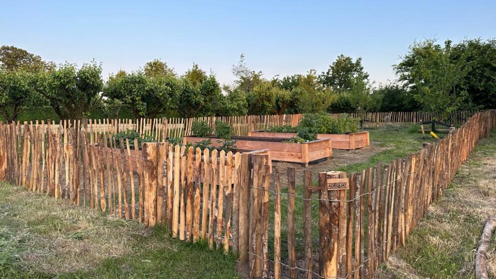 Clôture ganivielle française en bois de châtaignier de 80 cm de hauteur et avec un espacement de 4 cm. entre les lattes.