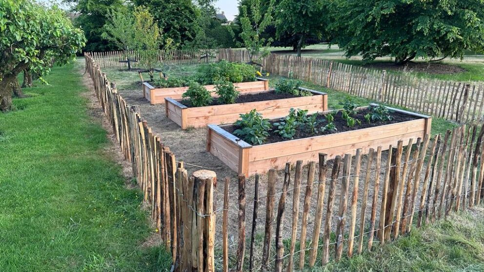 Clôture ganivielle française en bois de châtaignier de 80 cm de hauteur et avec un espacement de 4 cm. entre les lattes.