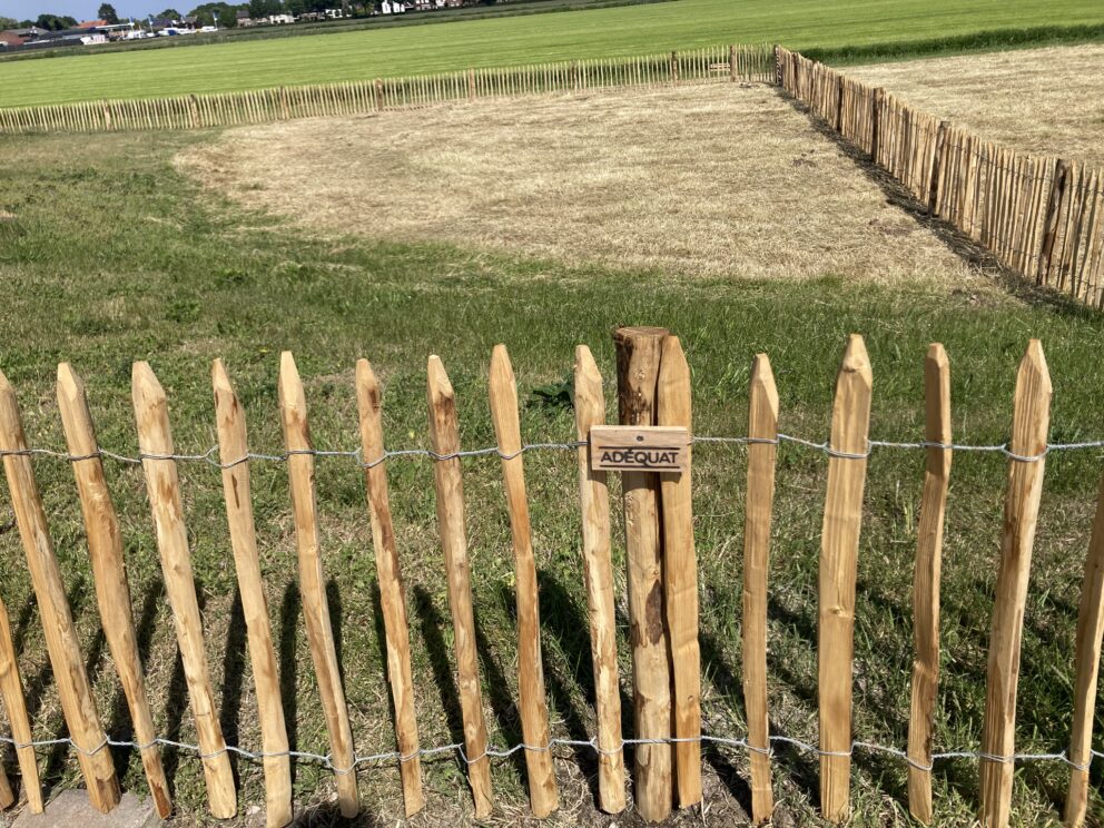 Clôture ganivielle française en bois de châtaignier de 80 cm de hauteur et avec un espacement de 6 cm. entre les lattes.