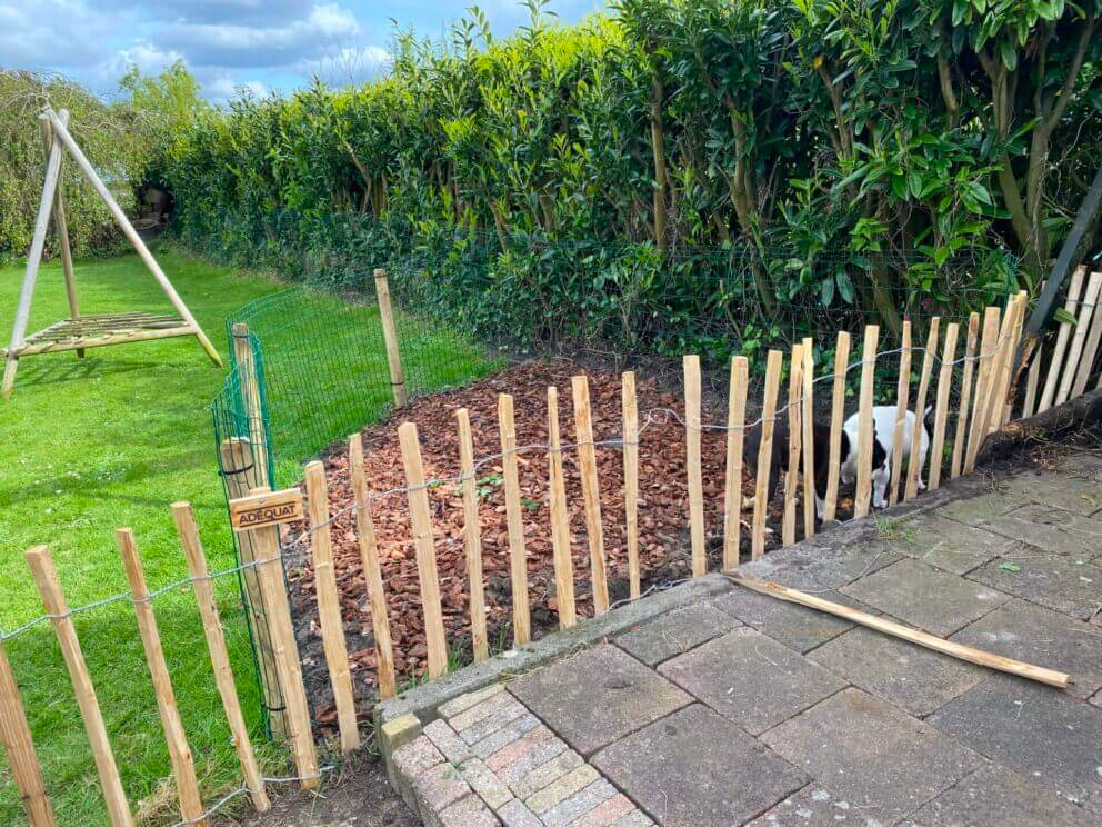 Clôture ganivielle française en bois de châtaignier de 80 cm de hauteur et avec un espacement de 8 cm. entre les lattes.