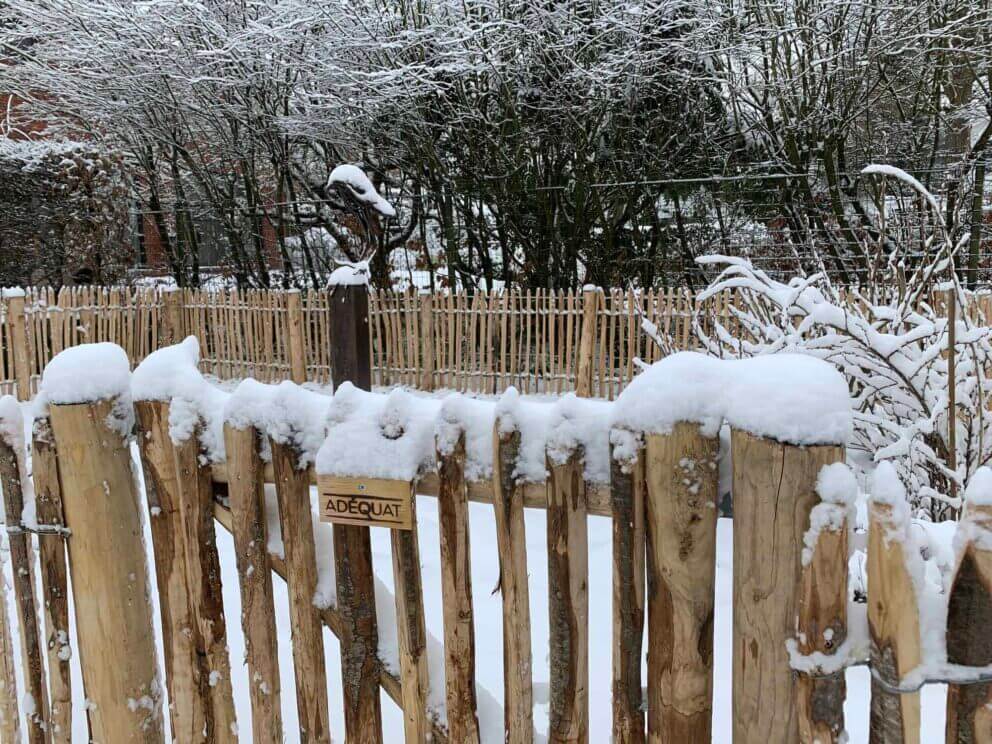 Clôture ganivielle française en bois de châtaignier de 80 cm de hauteur et avec un espacement de 4 cm. entre les lattes.