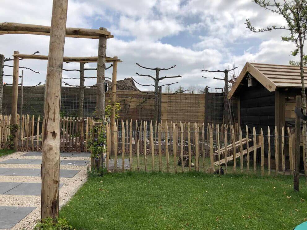 Clôture ganivielle française en bois de châtaignier de 80 cm de hauteur et avec un espacement de 6 cm. entre les lattes.