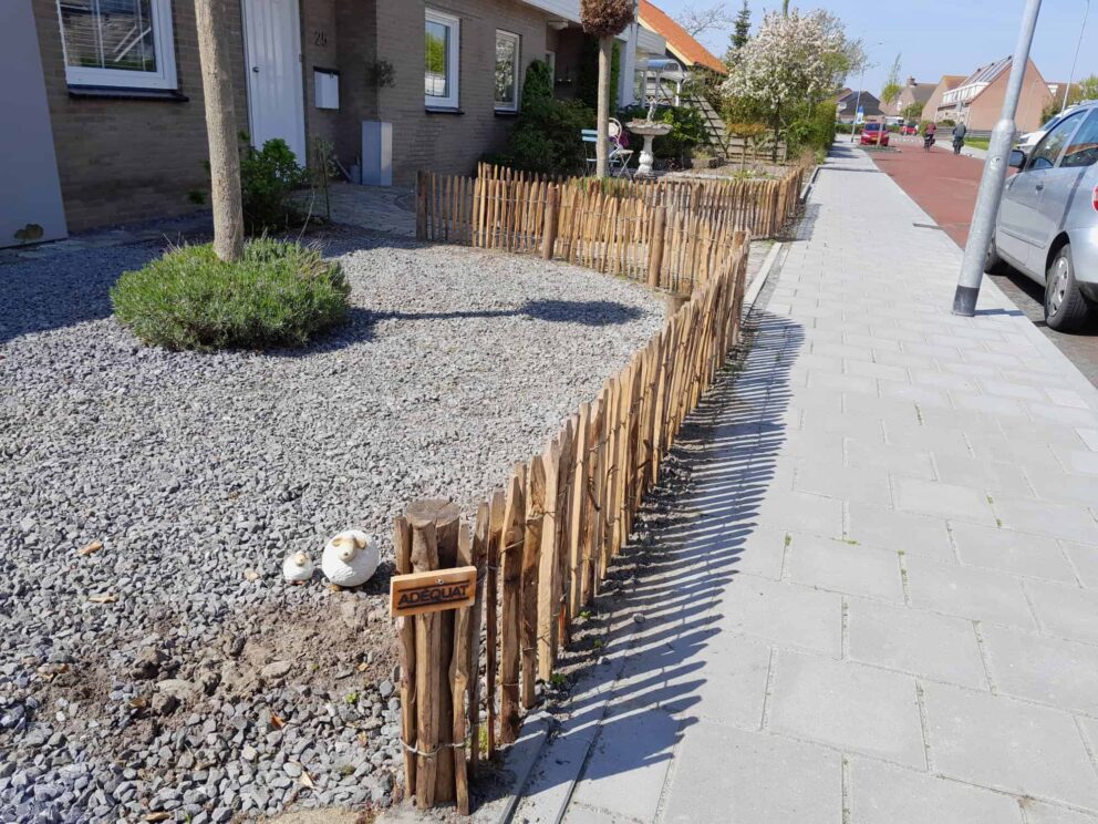 Clôture ganivielle française en bois de châtaignier de 50 cm de hauteur et avec un espacement de 2 cm entre les lattes.