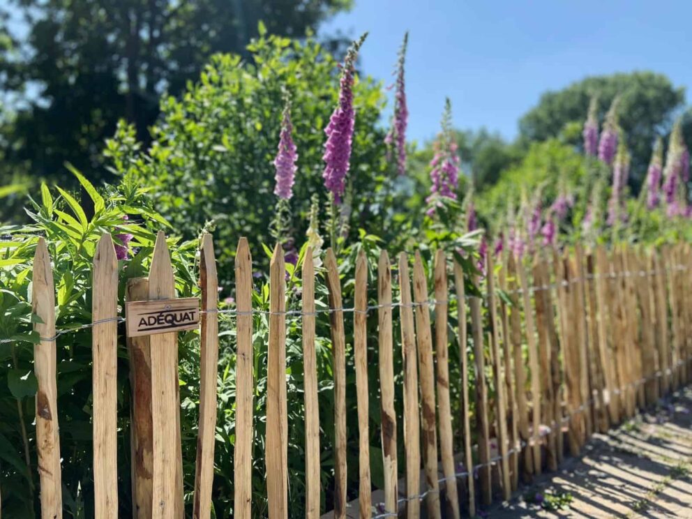 Clôture ganivielle française en bois de châtaignier de 80 cm de hauteur et avec un espacement de 4 cm. entre les lattes.