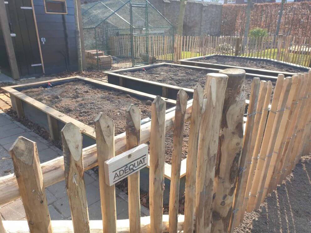 Clôture ganivielle française en bois de châtaignier de 80 cm de hauteur et avec un espacement de 6 cm. entre les lattes.