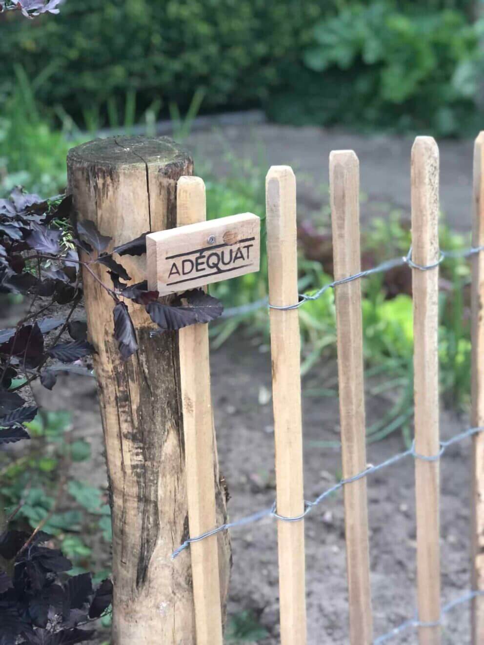 Clôture ganivielle française en bois de châtaignier de 80 cm de hauteur et avec un espacement de 8 cm. entre les lattes.