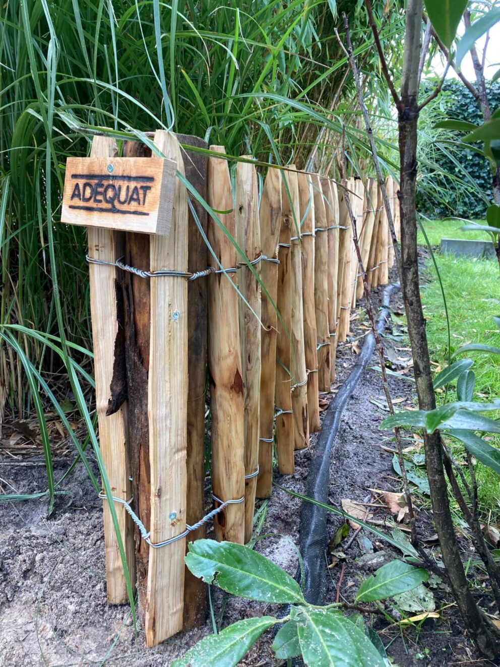 Clôture ganivielle française en bois de châtaignier de 50 cm de hauteur et avec un espacement de 6 cm entre les lattes.