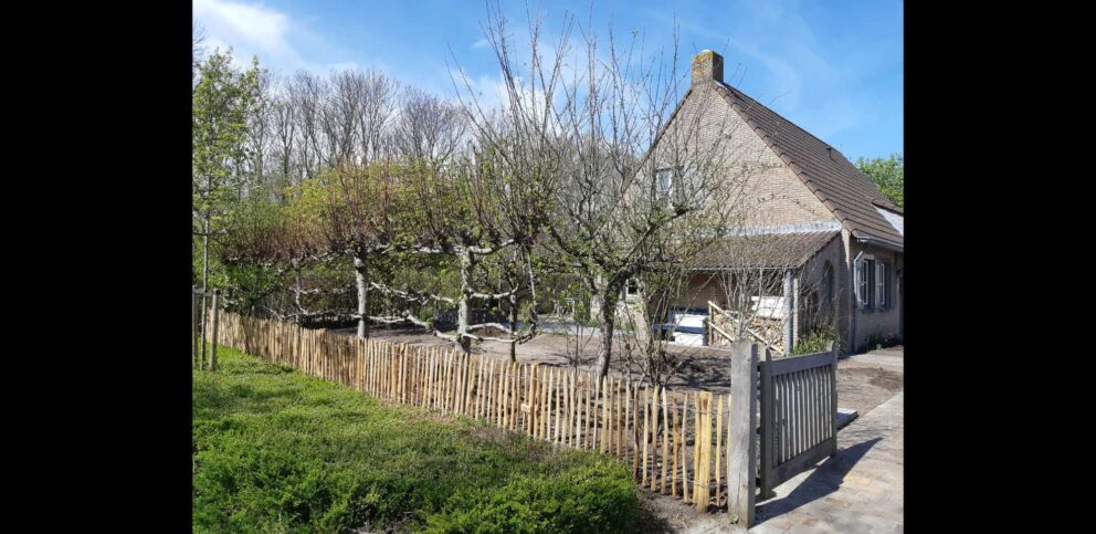 Clôture ganivielle française en bois de châtaignier de 80 cm de hauteur et avec un espacement de 4 cm. entre les lattes.