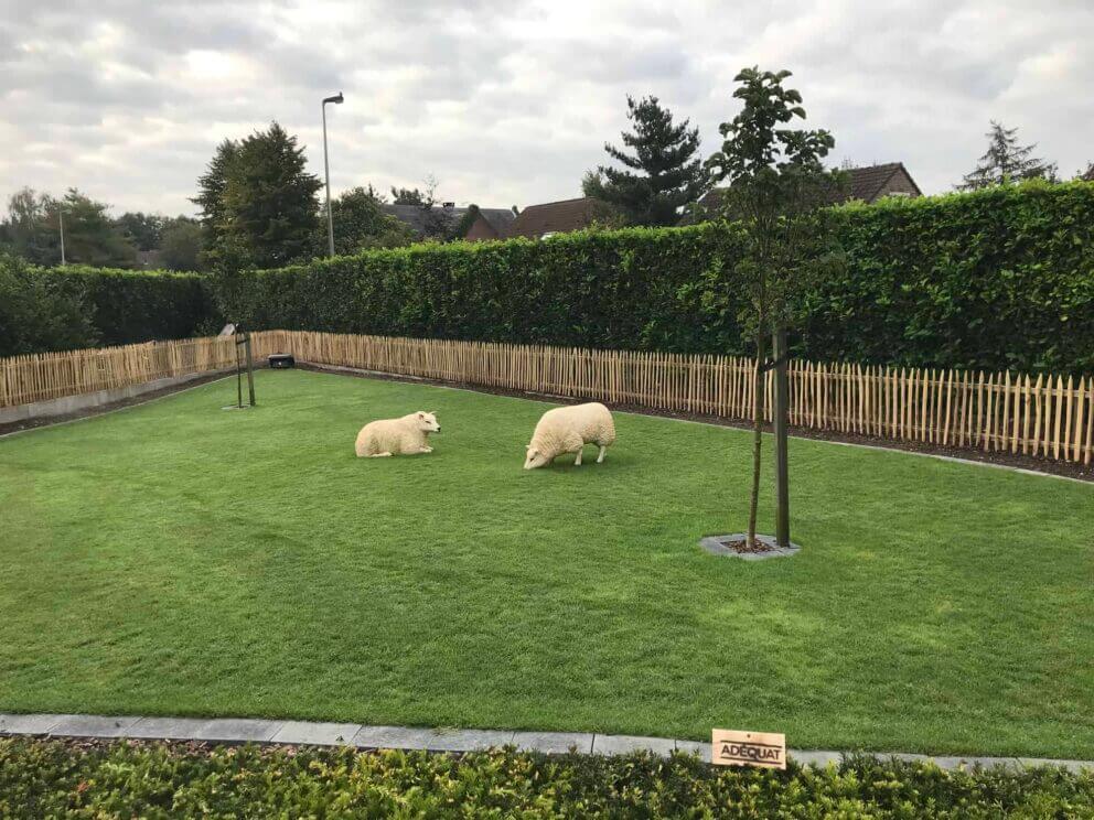 Clôture ganivielle française en bois de châtaignier de 80 cm de hauteur et avec un espacement de 4 cm. entre les lattes.