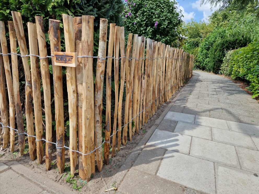 Clôture ganivielle française en bois de châtaignier de 80 cm de hauteur et avec un espacement de 4 cm. entre les lattes.