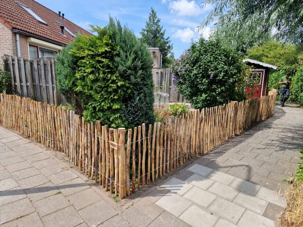 Clôture ganivielle française en bois de châtaignier de 80 cm de hauteur et avec un espacement de 4 cm. entre les lattes.