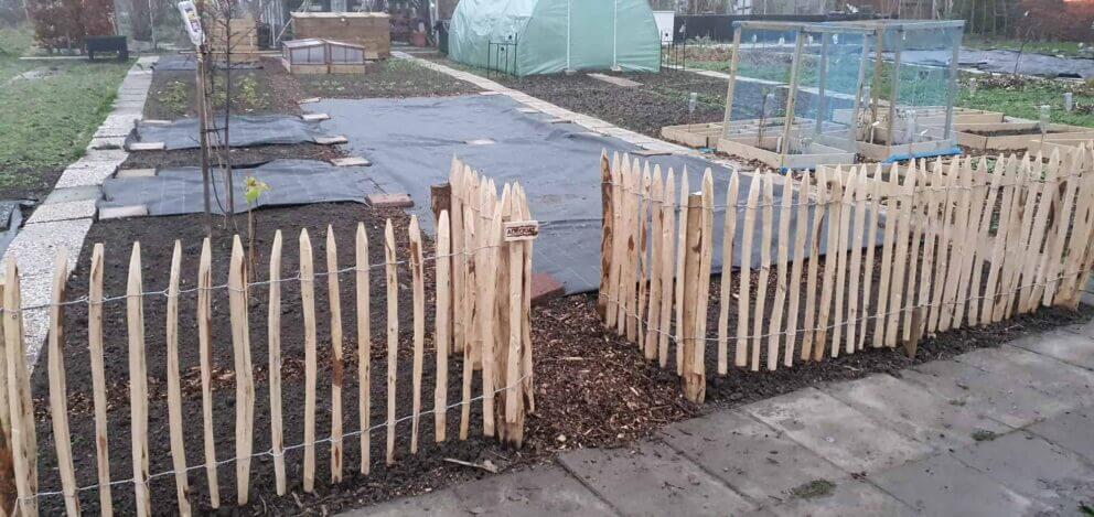 Clôture ganivielle française en bois de châtaignier de 80 cm de hauteur et avec un espacement de 4 cm. entre les lattes.