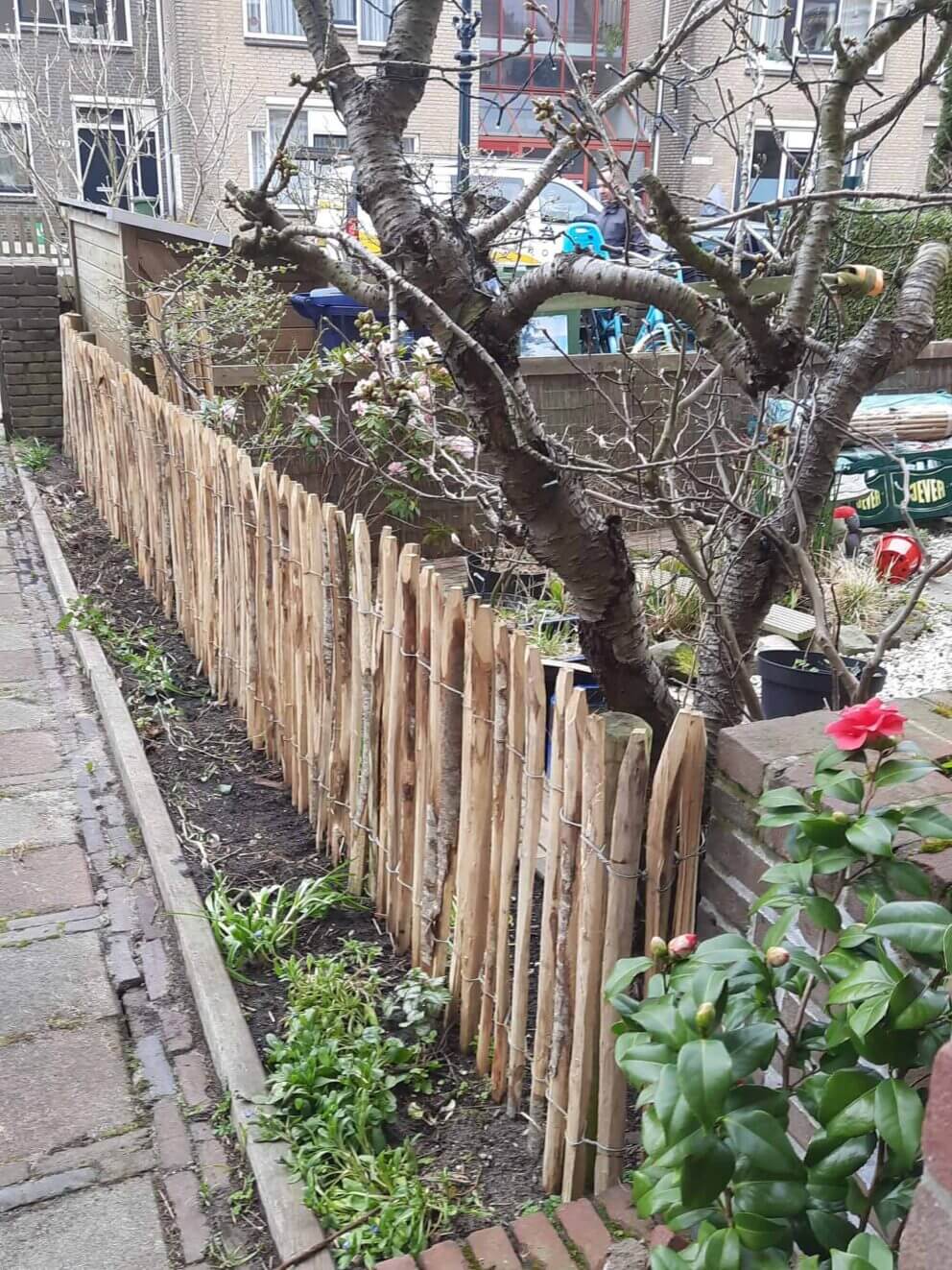 Clôture ganivielle française en bois de châtaignier de 80 cm de hauteur et avec un espacement de 2 cm. entre les lattes.