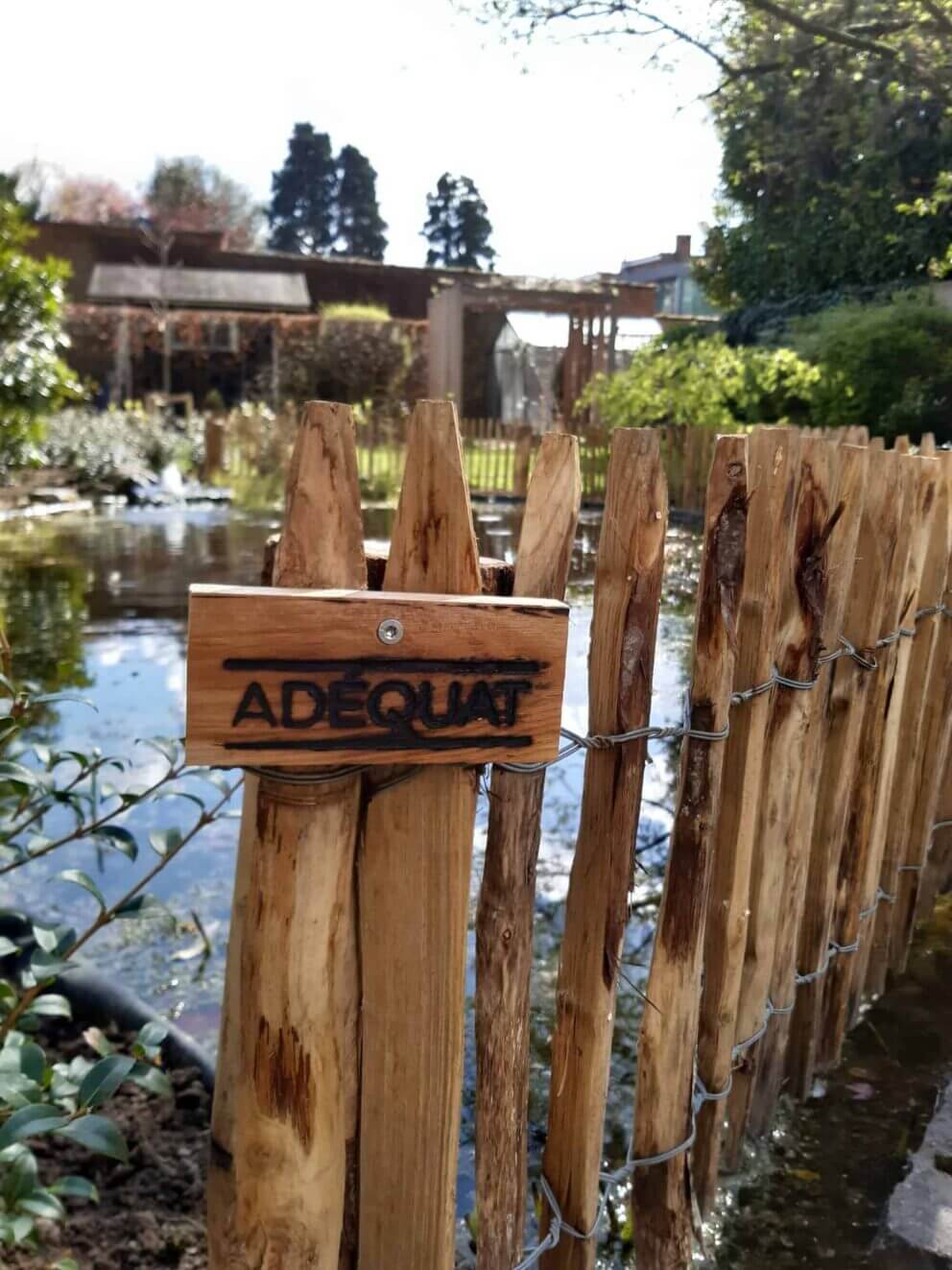 Clôture ganivielle française en bois de châtaignier de 50 cm de hauteur et avec un espacement de 2 cm entre les lattes.