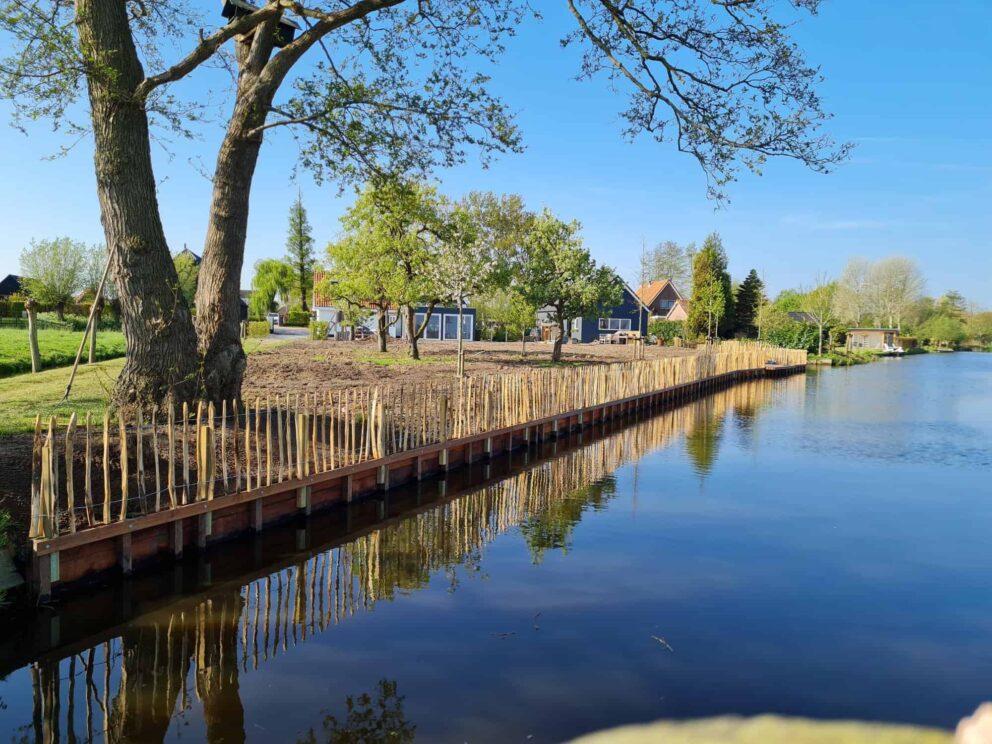 Clôture ganivielle française en bois de châtaignier de 80 cm de hauteur et avec un espacement de 8 cm. entre les lattes.