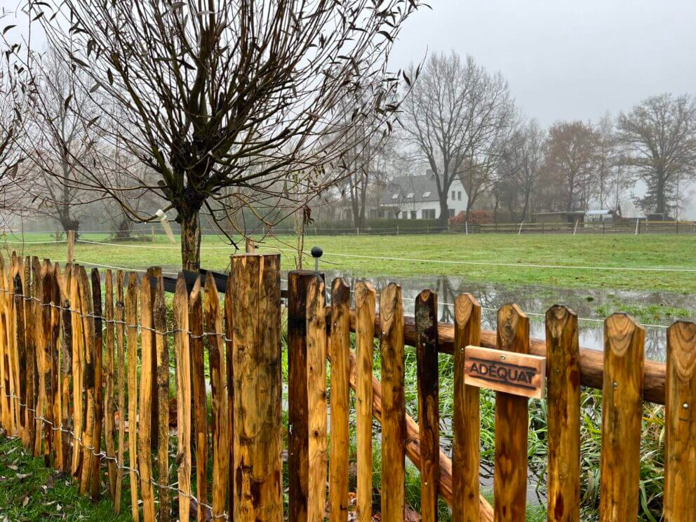 Clôture ganivielle française en bois de châtaignier de 80 cm de hauteur et avec un espacement de 4 cm. entre les lattes.