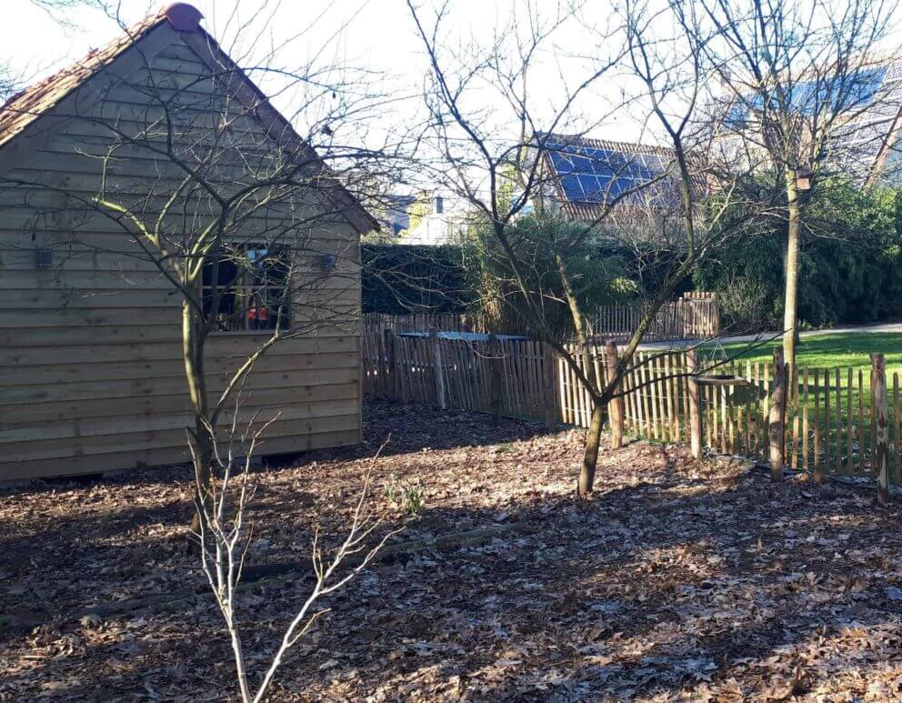 Clôture ganivielle française en bois de châtaignier de 80 cm de hauteur et avec un espacement de 8 cm. entre les lattes.