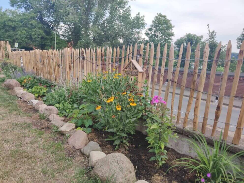 Clôture ganivielle française en bois de châtaignier de 80 cm de hauteur et avec un espacement de 4 cm. entre les lattes.