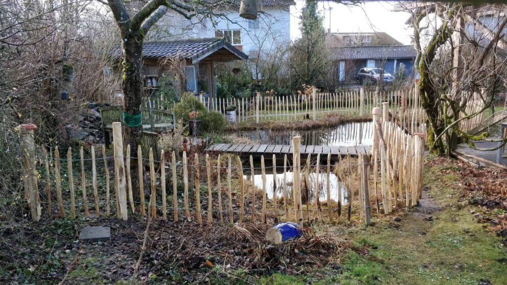 Clôture ganivielle française en bois de châtaignier de 80 cm de hauteur et avec un espacement de 6 cm. entre les lattes.