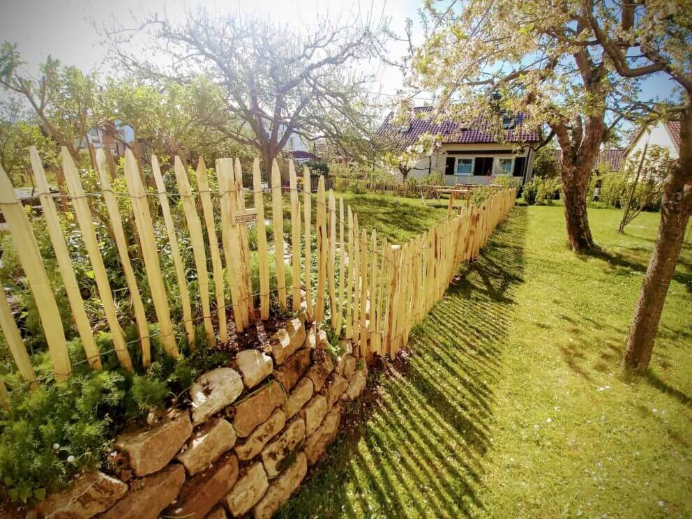 Clôture ganivielle française en bois de châtaignier de 80 cm de hauteur et avec un espacement de 4 cm. entre les lattes.