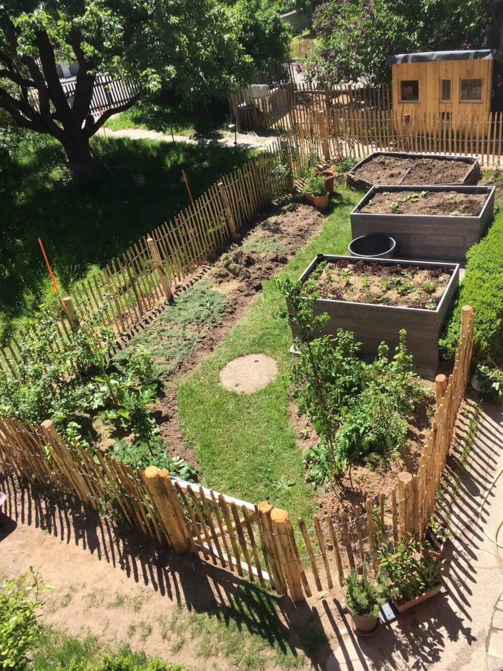 Clôture ganivielle française en bois de châtaignier de 80 cm de hauteur et avec un espacement de 4 cm. entre les lattes.