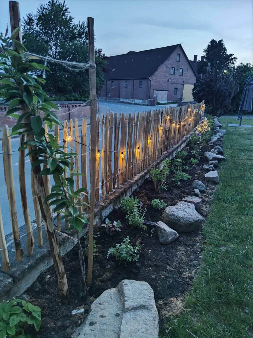 Clôture ganivielle française en bois de châtaignier de 80 cm de hauteur et avec un espacement de 4 cm. entre les lattes.